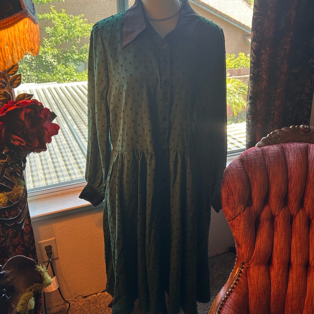 Unique Vintage 1x  Elegant Green Dress